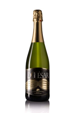 DCésar Brut