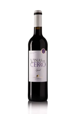Bodegas Delgado Collado - Viñas del Cerro Syrah